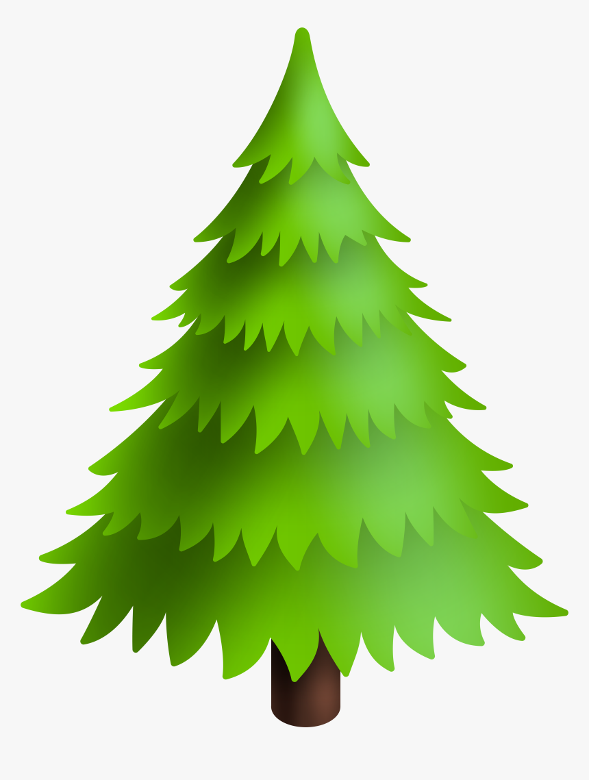 Detail Pine Tree Clipart Transparent Background Nomer 8