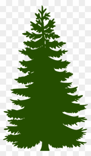 Detail Pine Tree Clipart Transparent Background Nomer 9