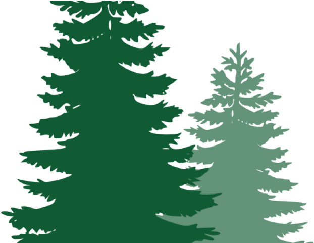 Detail Pine Tree Logo Clipart Nomer 20