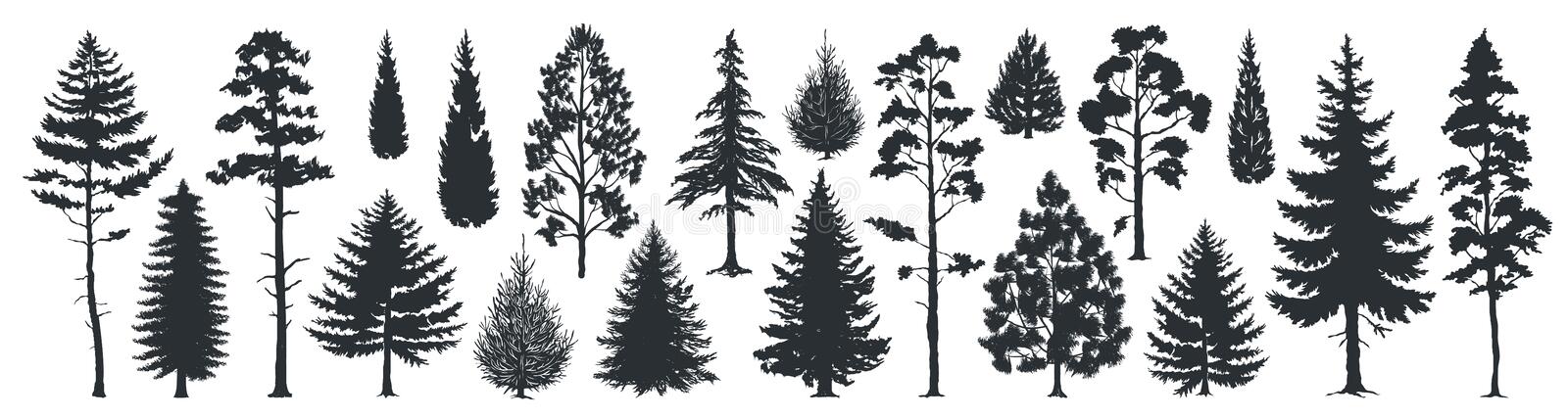 Detail Pine Tree Logo Clipart Nomer 35