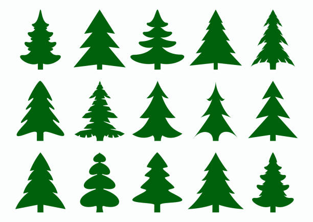 Detail Pine Tree Logo Clipart Nomer 4