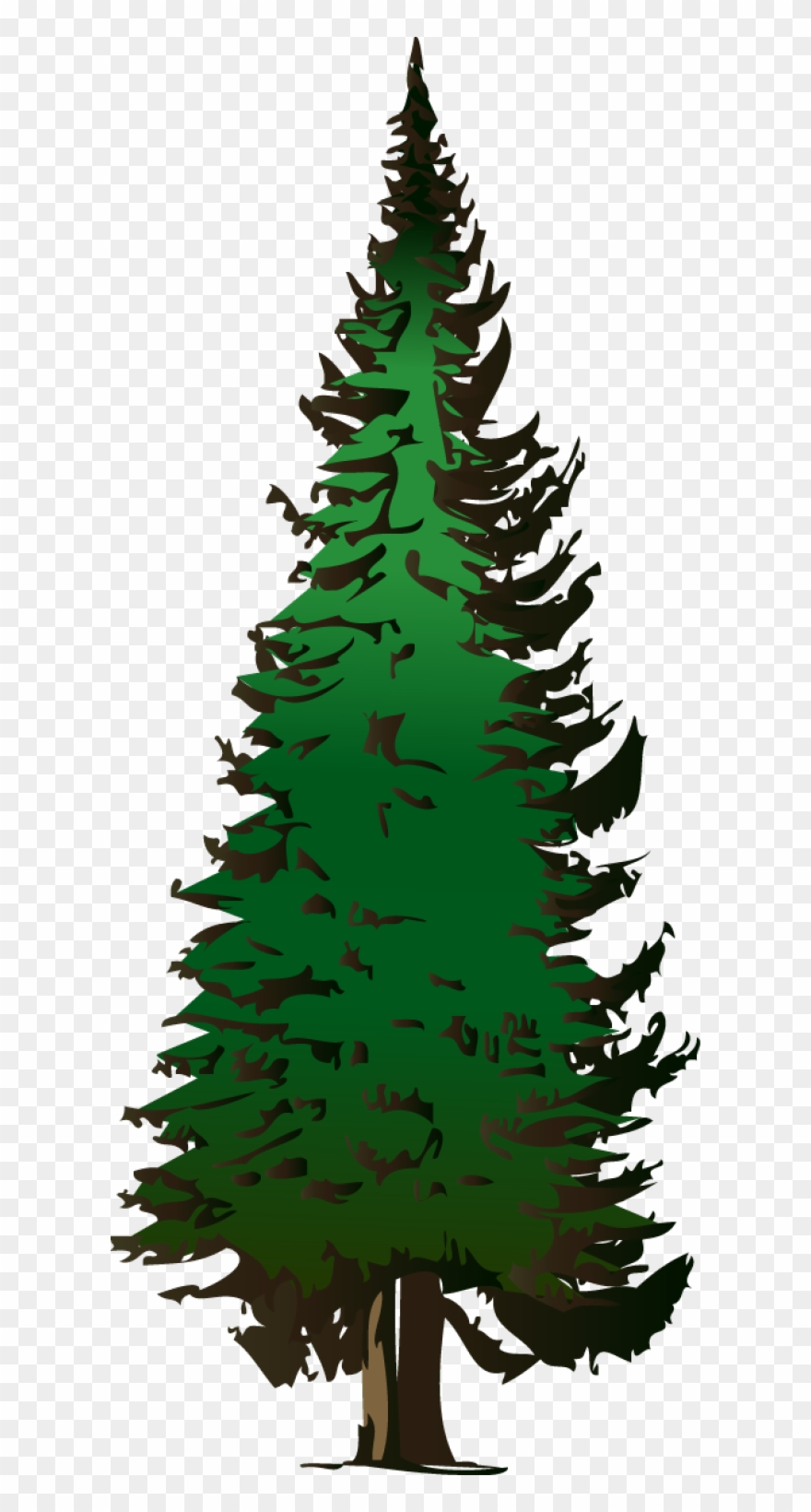 Detail Pine Tree Logo Clipart Nomer 48
