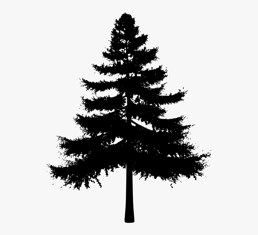 Detail Pine Tree Photoshop Brush Nomer 26