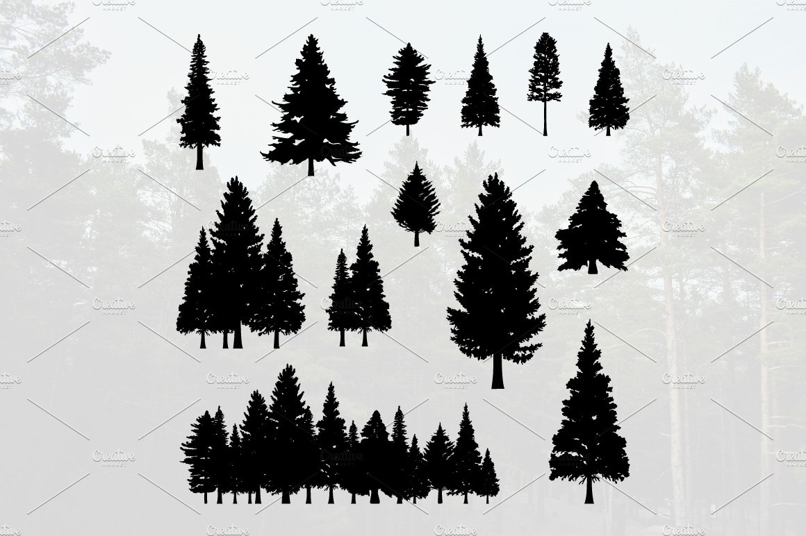 Detail Pine Tree Photoshop Brushes Nomer 16