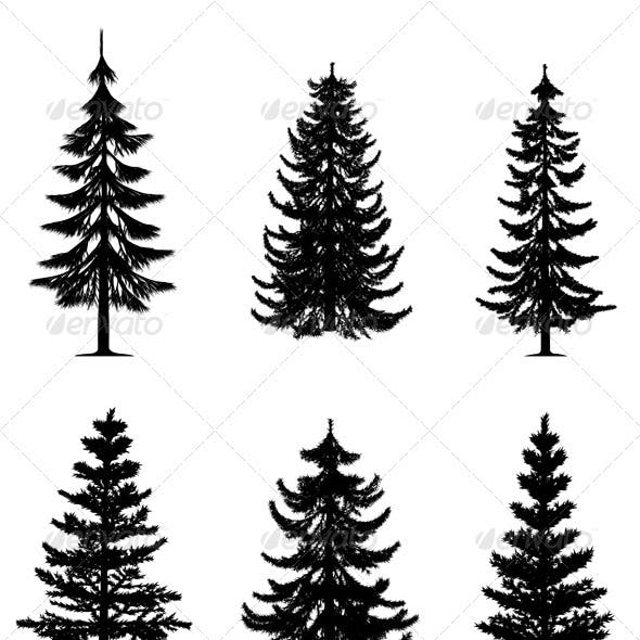 Detail Pine Tree Photoshop Brushes Nomer 17