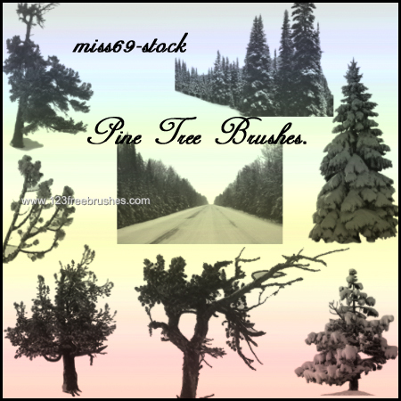 Download Pine Tree Photoshop Brushes Nomer 18