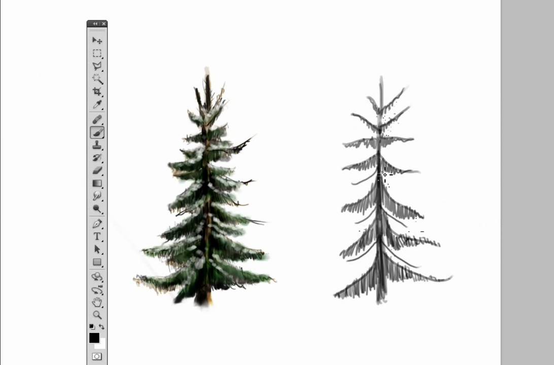 Detail Pine Tree Photoshop Brushes Nomer 52
