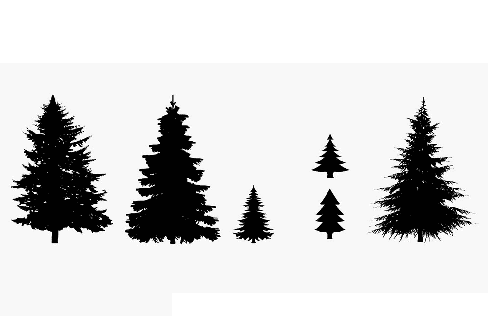 Detail Pine Tree Silhouette Clip Art Nomer 46