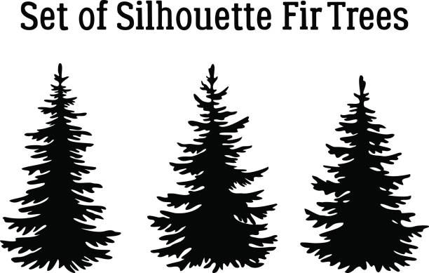 Detail Pine Tree Silhouette Clip Art Nomer 52