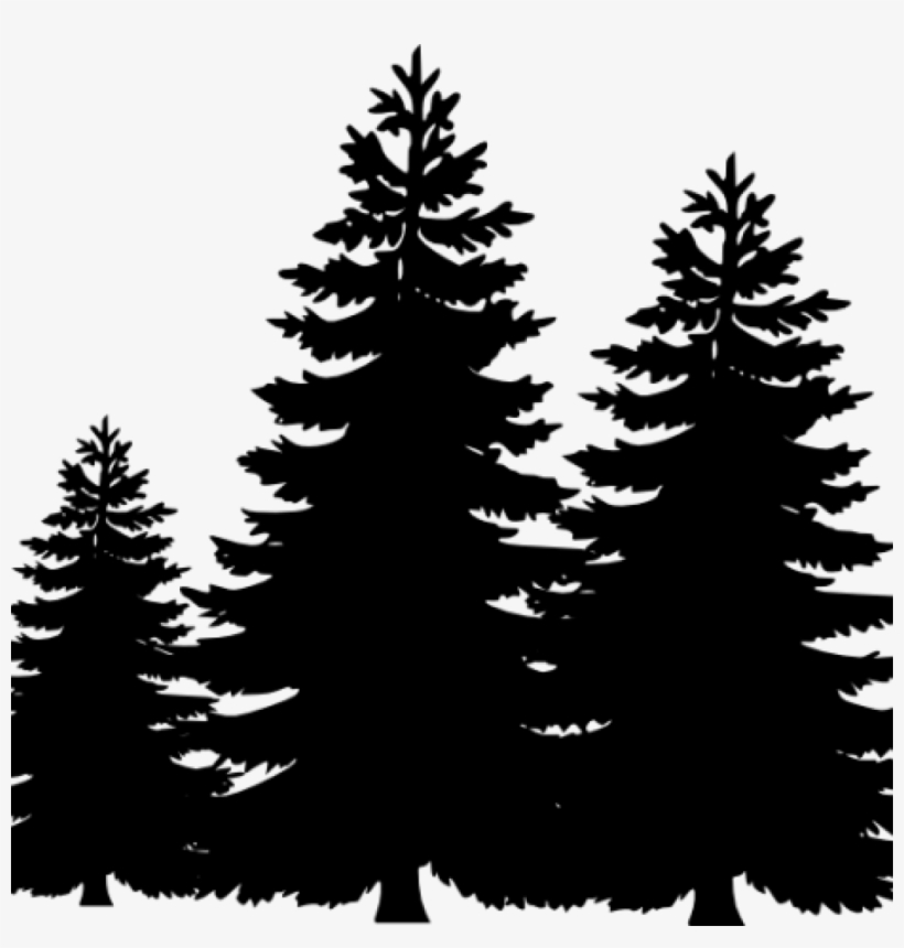 Detail Pine Tree Silhouette Clipart Nomer 14