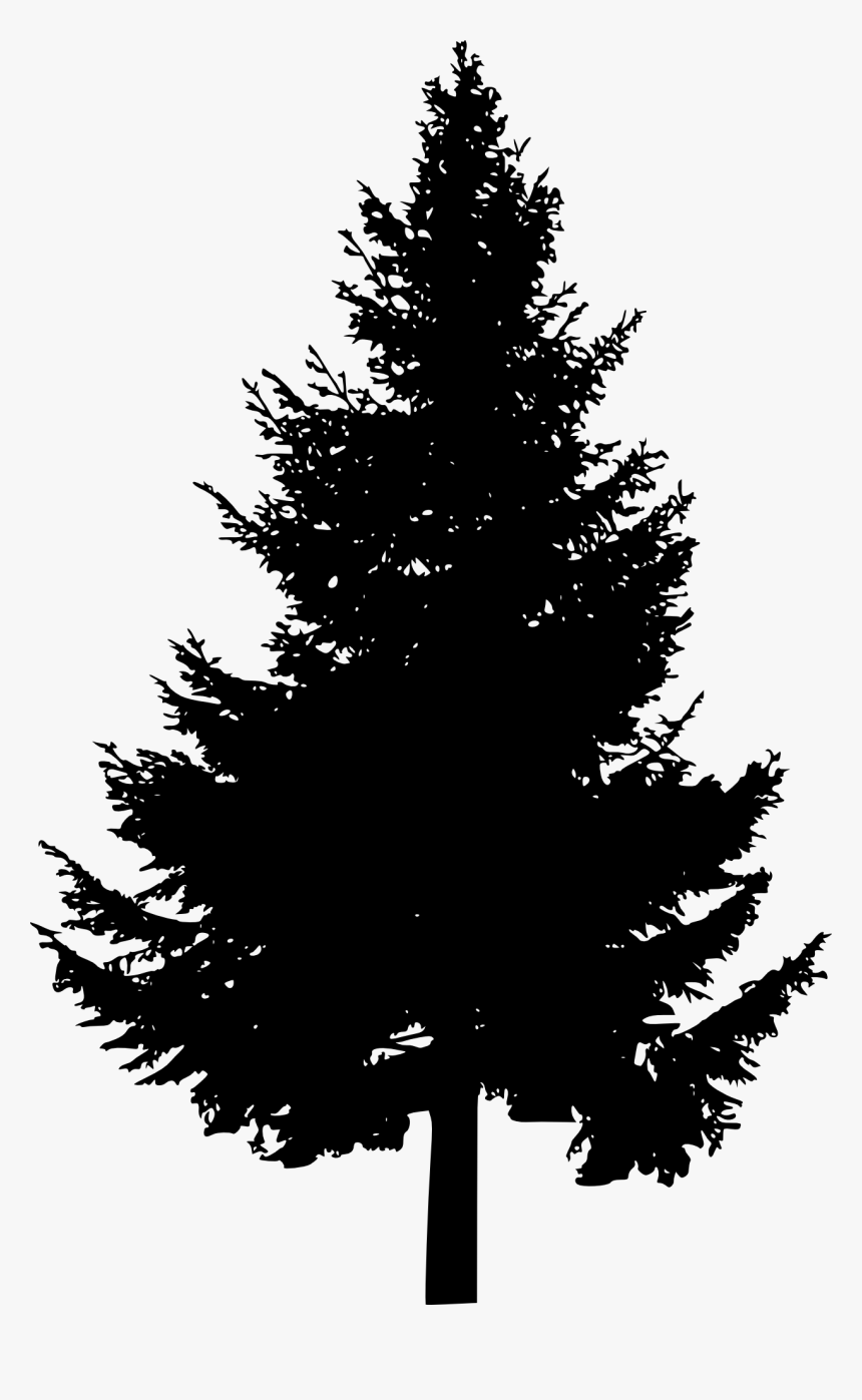 Detail Pine Tree Silhouette Clipart Nomer 29