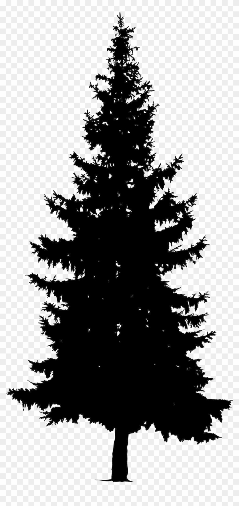 Detail Pine Tree Silhouette Clipart Nomer 41