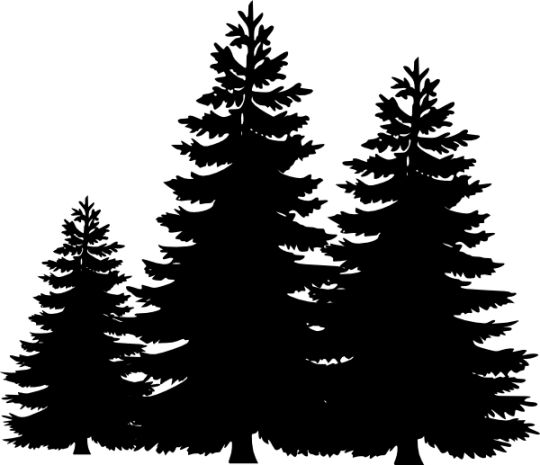 Detail Pine Tree Silhouette Clipart Nomer 6