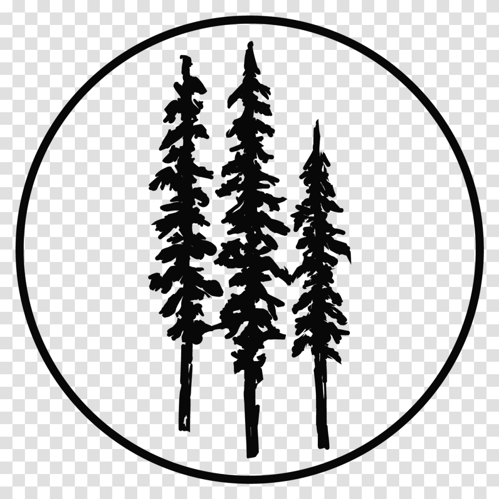 Detail Pine Tree Silhouette Clipart Nomer 51