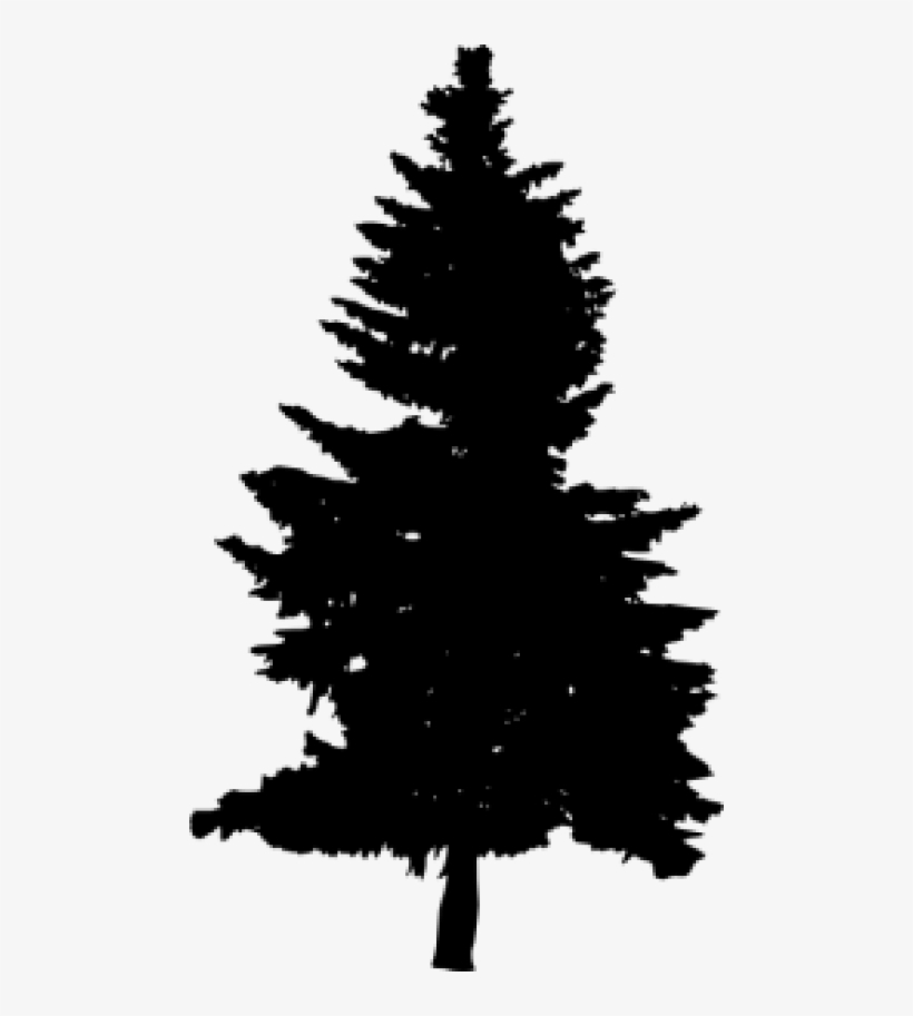 Detail Pine Tree Silhouette Free Nomer 11