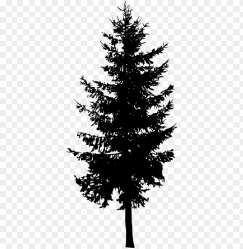 Detail Pine Tree Silhouette Free Nomer 14