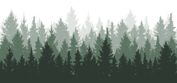 Detail Pine Tree Silhouette Free Nomer 20