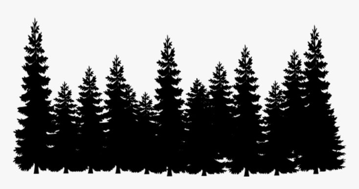 Detail Pine Tree Silhouette Free Nomer 23