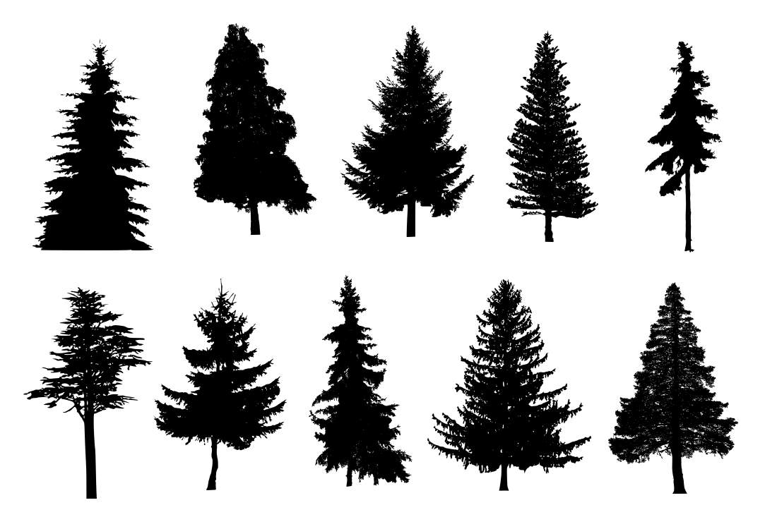 Pine Tree Silhouette Images - KibrisPDR