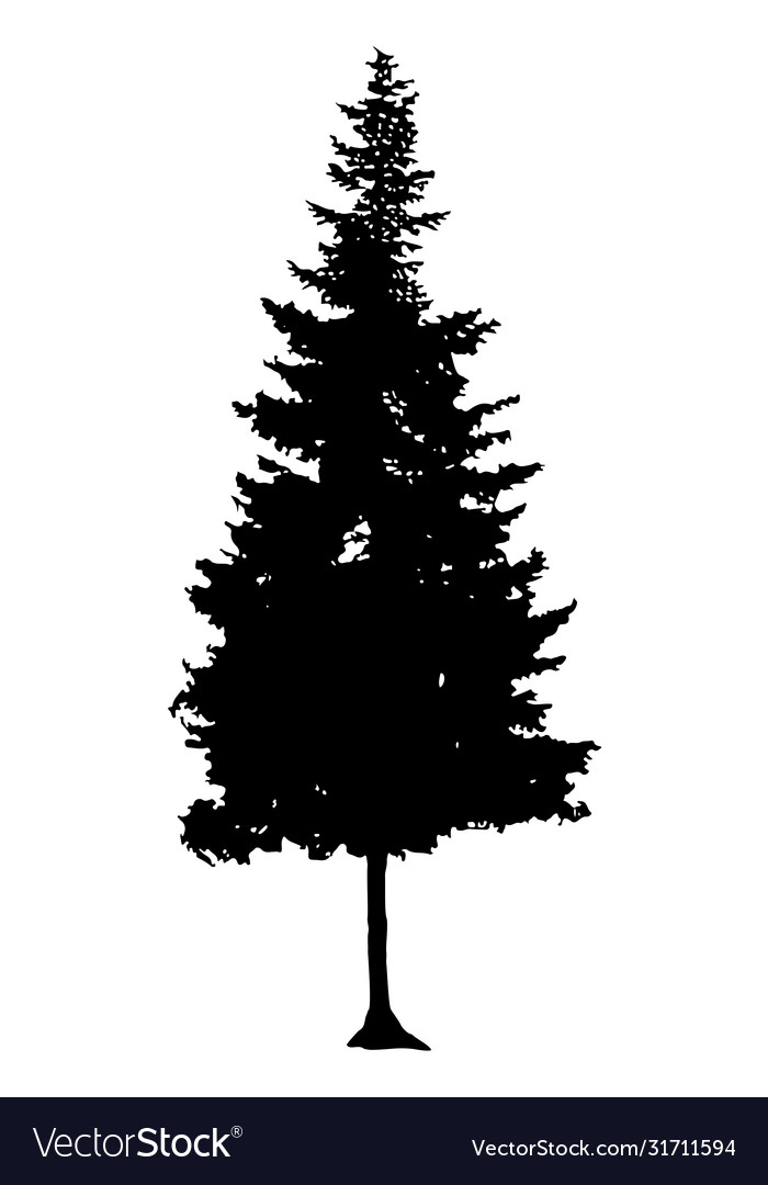 Detail Pine Tree Silhouette Images Nomer 16