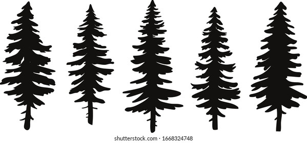 Detail Pine Tree Silhouette Images Nomer 18