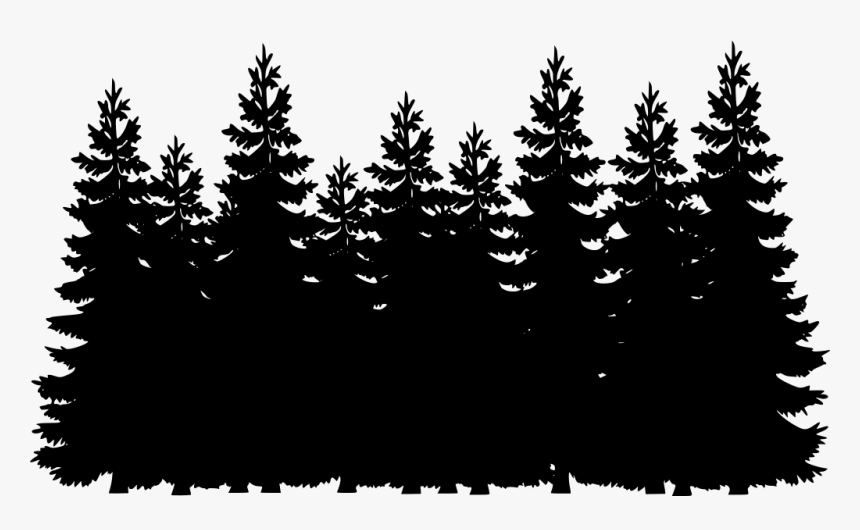 Detail Pine Tree Silhouette Images Nomer 26