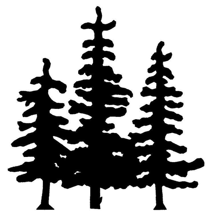 Detail Pine Tree Silhouette Images Nomer 34