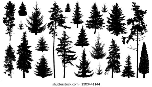 Detail Pine Tree Silhouette Images Nomer 35