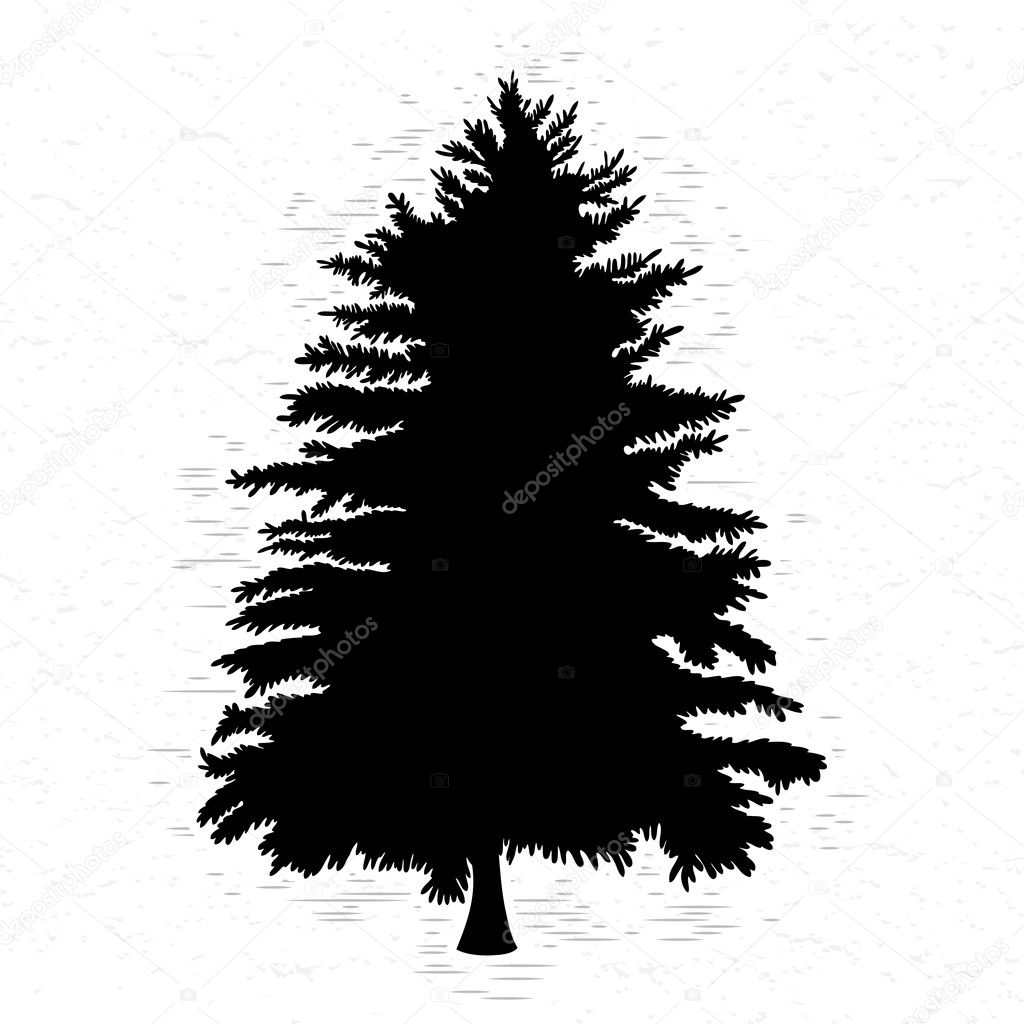 Detail Pine Tree Silhouette Images Nomer 44