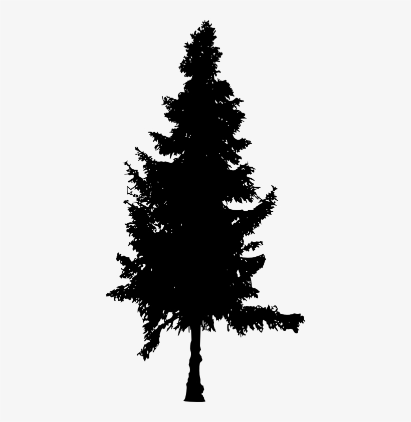 Detail Pine Tree Silhouette Images Nomer 7