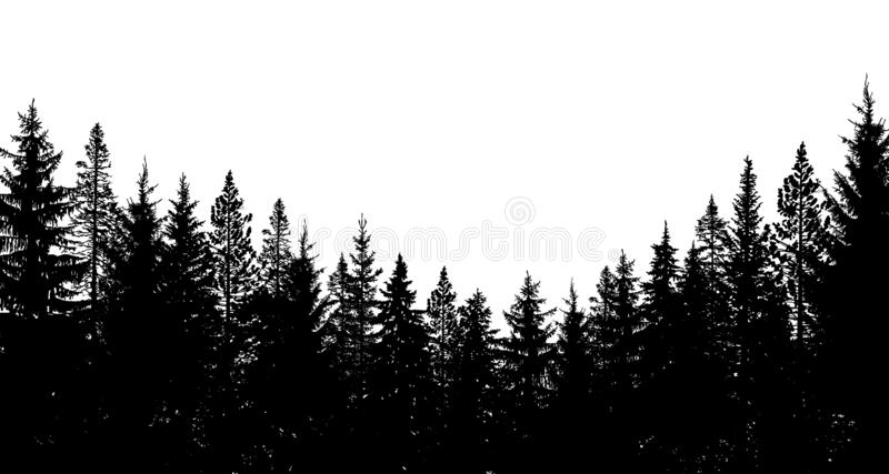 Detail Pine Tree Silhouette Images Nomer 9