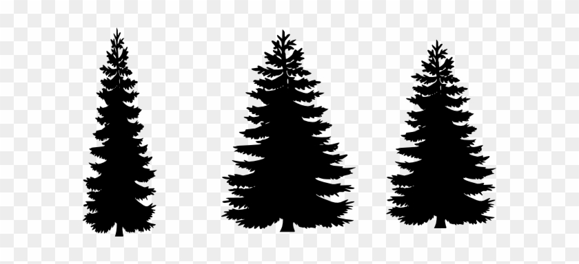 Detail Pine Tree Silhouette Vector Free Nomer 3