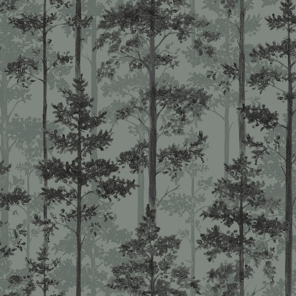 Detail Pine Tree Wallpaper Nomer 14
