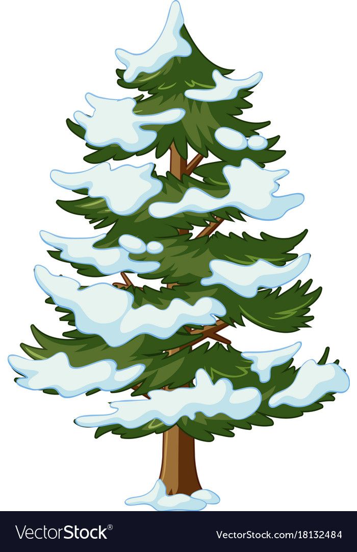 Pine Tree With Snow Clipart - KibrisPDR