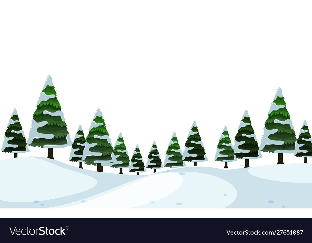 Detail Pine Tree With Snow Clipart Nomer 13