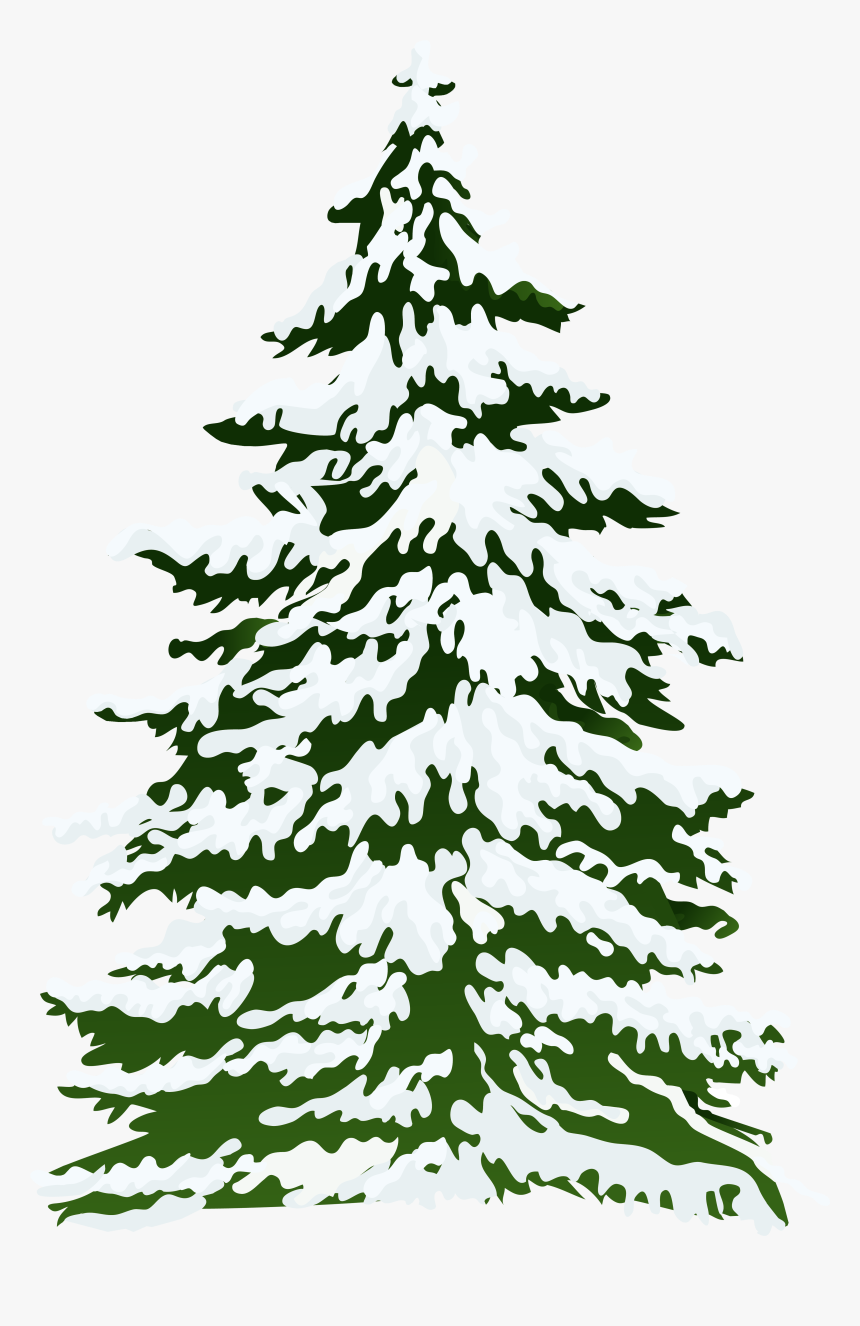 Detail Pine Tree With Snow Clipart Nomer 19