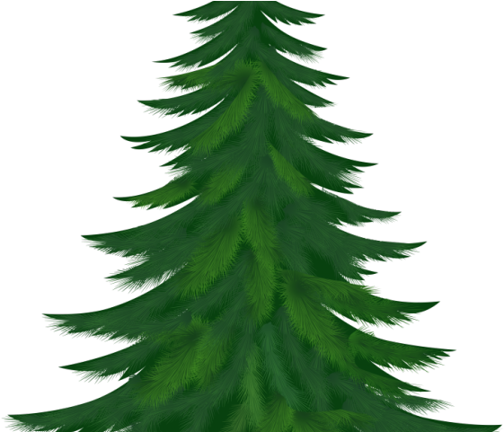 Detail Pine Tree With Snow Clipart Nomer 33