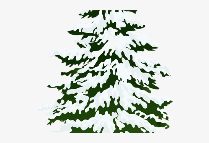 Detail Pine Tree With Snow Clipart Nomer 37