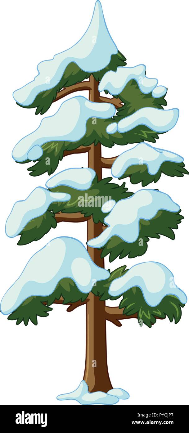 Detail Pine Tree With Snow Clipart Nomer 42