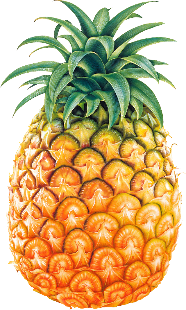 Pineaple Png - KibrisPDR