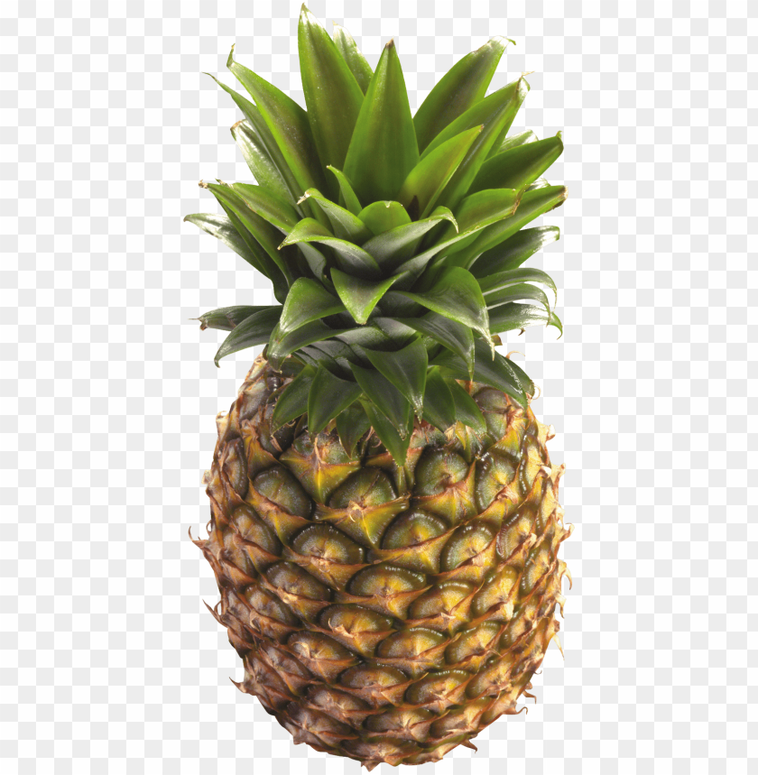 Detail Pineaple Png Nomer 12