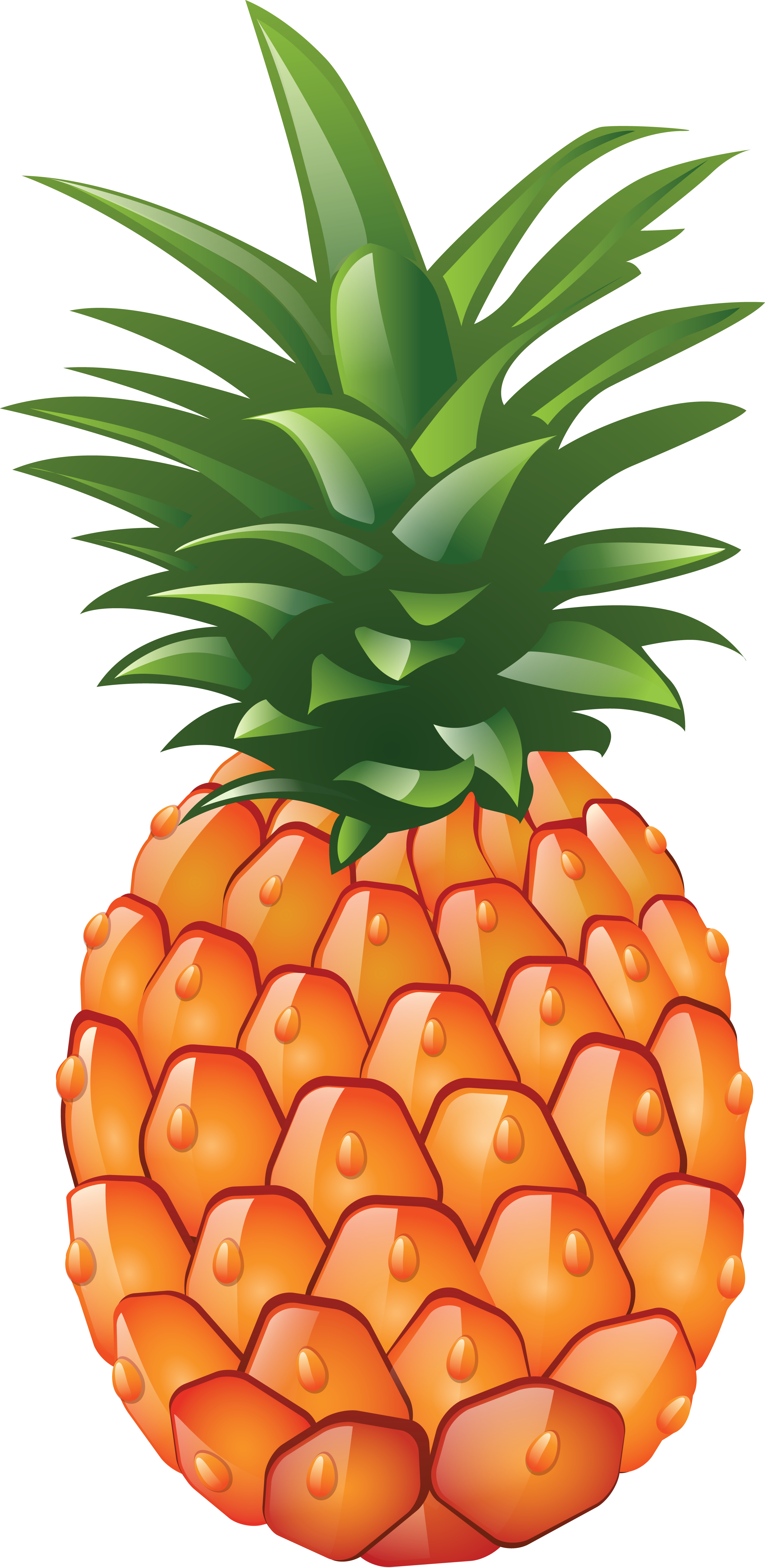 Detail Pineaple Png Nomer 14