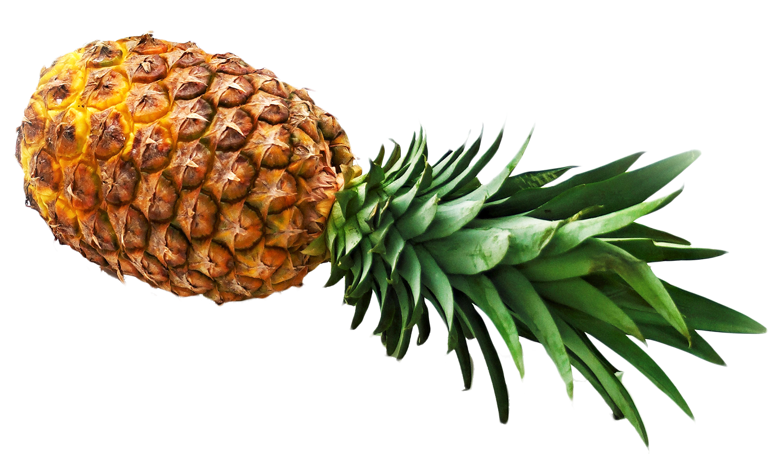 Detail Pineaple Png Nomer 15
