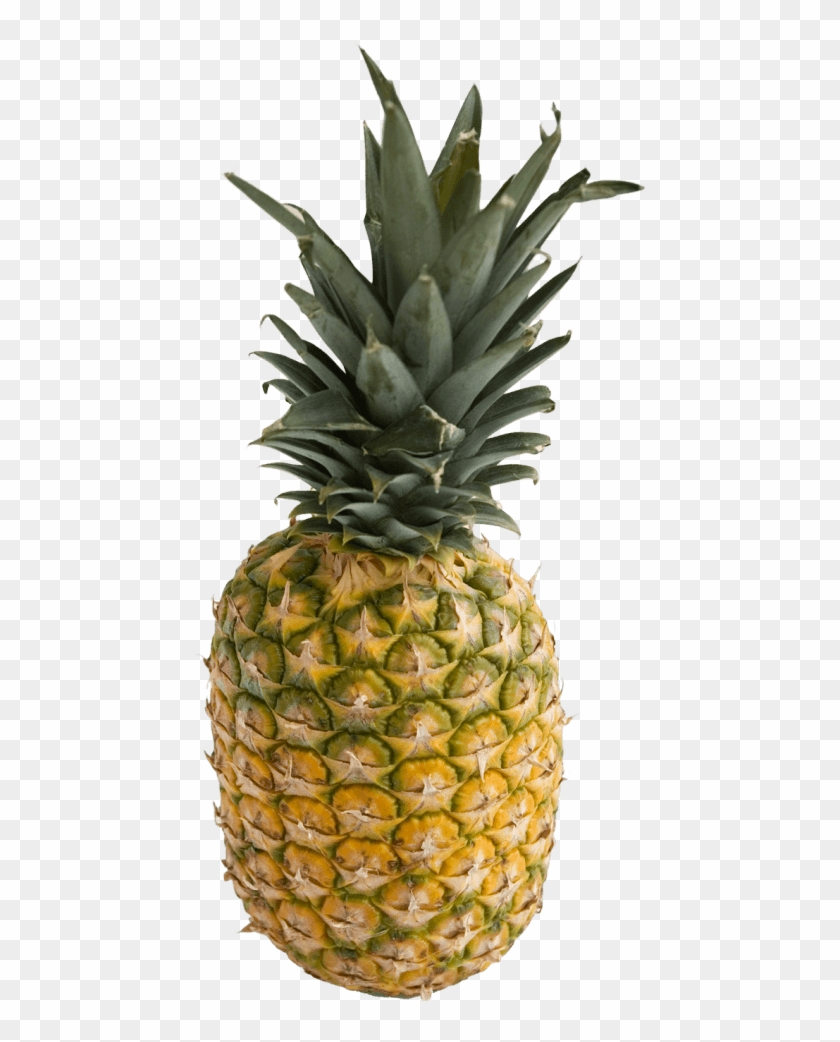 Detail Pineaple Png Nomer 18