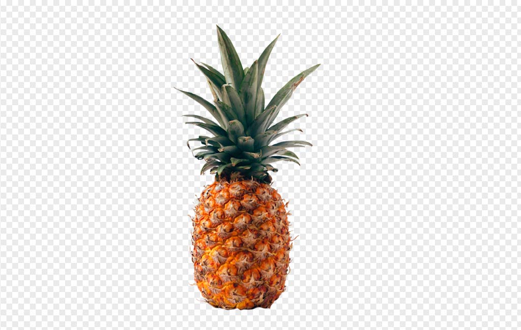 Detail Pineaple Png Nomer 20