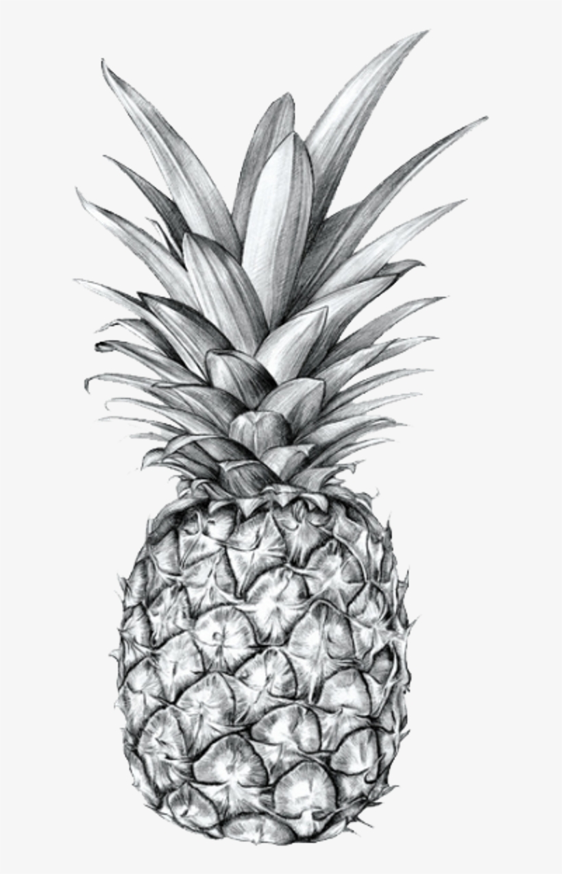 Detail Pineaple Png Nomer 35