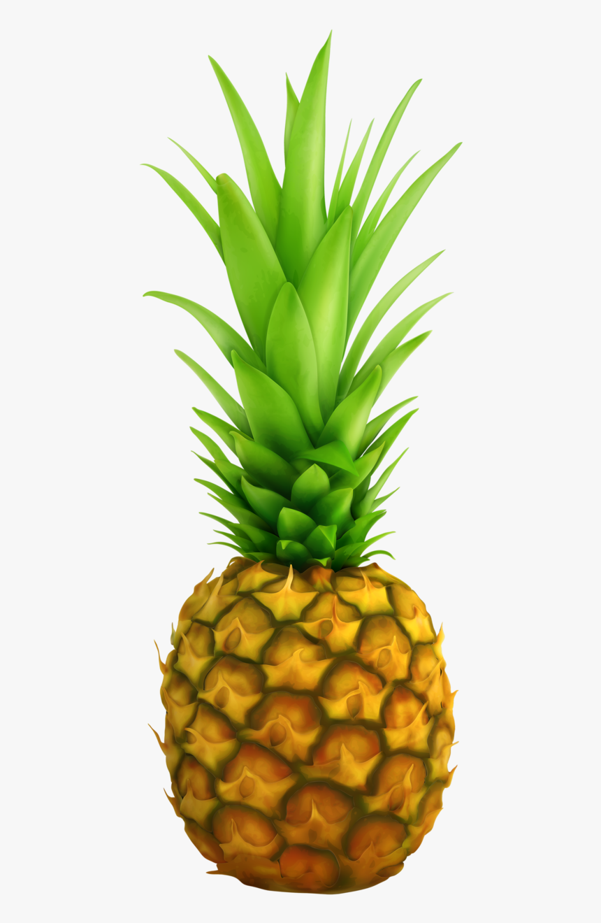 Detail Pineaple Png Nomer 37