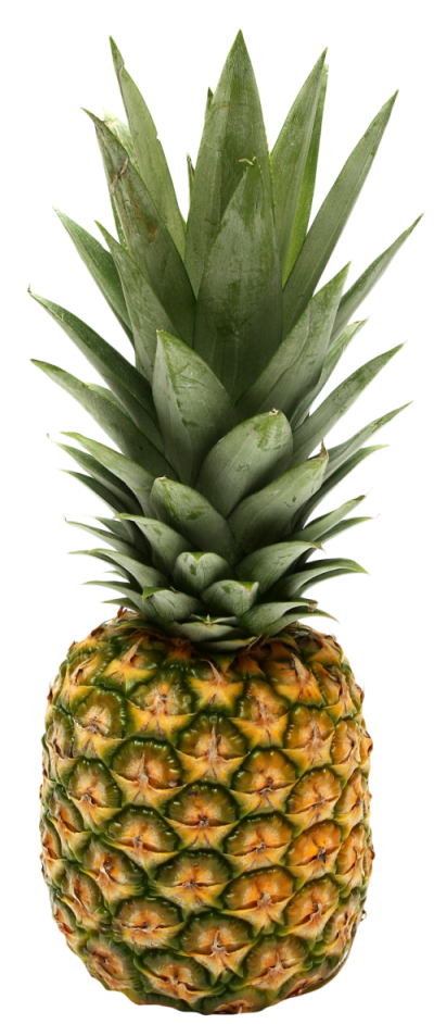 Detail Pineaple Png Nomer 40