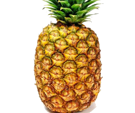 Detail Pineaple Png Nomer 42