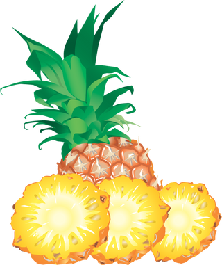 Detail Pineaple Png Nomer 44